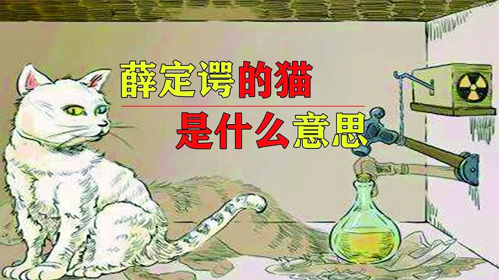 薛定諤的貓是什麼 它與平行宇宙有什麼關係？五分鐘看懂量子力學 - 天天要聞