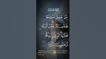 سورة الجاثية من عمل صالحا فلنفسه ومن أساء فعليها ثم إلى ربكم ترجعون الاية ١٥ #ايات_قرانيه_قصيره