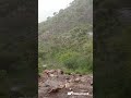 وحيث مر الغيث