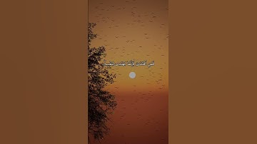 أرح سمعك 🥀القارئ: فارس عباد 🍃#سعد_الغامدي #اسلام_صبحي #فارس_عباد #ربيع_اليمني #قرآن