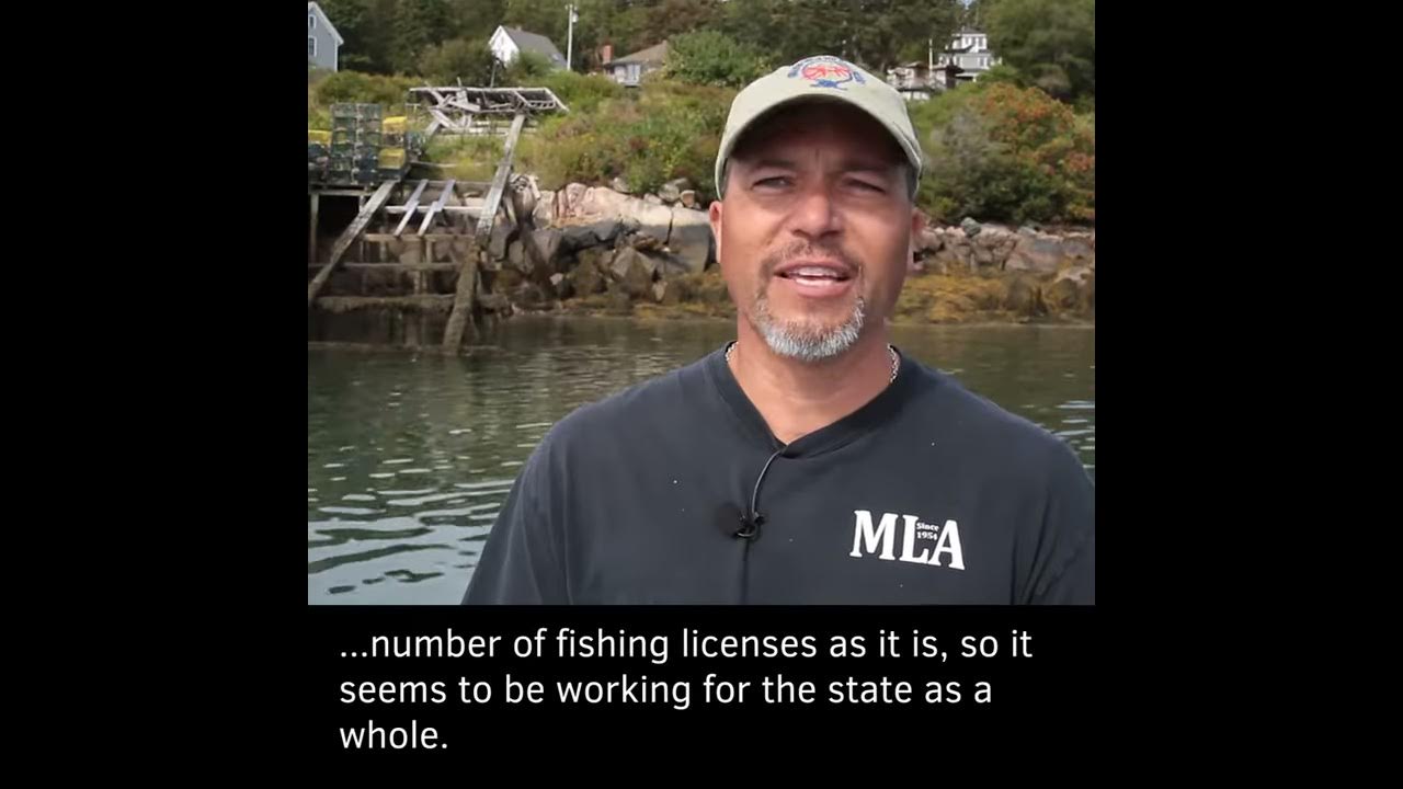 lobster-licenses-youtube