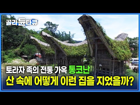 산 속에 이렇게 멋진 집이? 해발 900m 고원지대에 위치한 토라자 족의 전통 가옥 &amp;#39;통코난&amp;#39; | 하늘을 향해 치솟은 멋진 지붕 | 세계테마기행 | #골라듄다큐