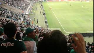 Olé Porco Olé Porco - Mancha Verde