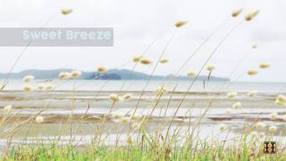 Background Music For Videos - Sweet Breeze
