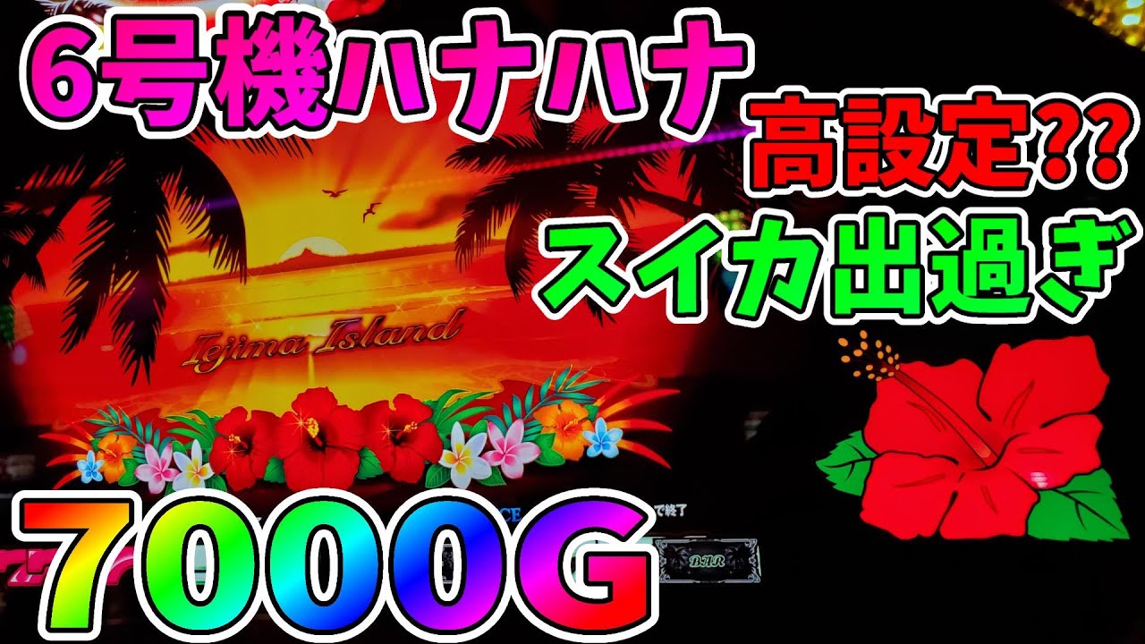 6号機ハナハナ】スイカ出過ぎのニューハナハナゴールド!?やれる所を