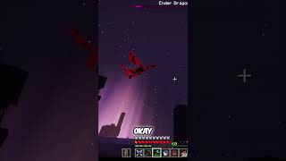 Final Stand Against the Ender Dragon #shorts