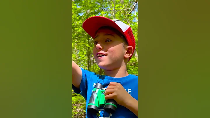 Come on guys let's go explore the wild #shortsforkids #shorts #kidsshorts thumbnail