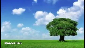 ولقد آتينا إبراهيم رشده من قبل وكنا به عالمين / القارئ إبراهيم العسيري