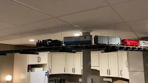 LGB G scale basement ceiling 2020 part 2