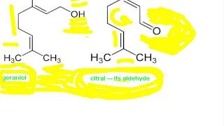 Citral Aldehydes Ruellan School Of Medicine Orgo