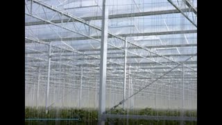 Dutch modern sustainable greenhouse - Construction