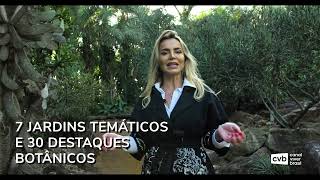 Thumbnail do vídeo