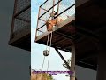 Goat Uses Rope to Lift Food: Incredible Animal Problem-Solving in Action