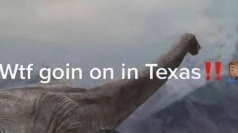 High Heat + Turnt Temp 100% by Bibox and more