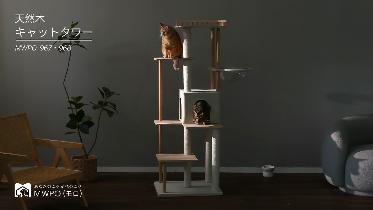猫と暮らすインテリア】木の温もりを楽しむ、天然木キャットタワー