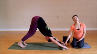 Downward Dog Modifications: Blocks, Wedge, Beginner Yoga
