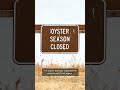 Toxic shellfish closure hits Hood Canal