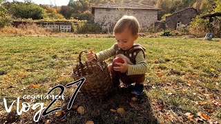 Едно семейство на село - Vlog 27 - Един следобед с нас и нашите неволи