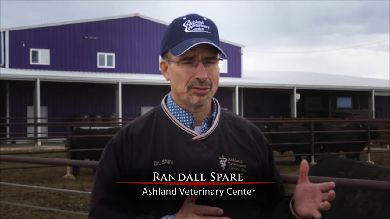 The Angus Report Gardiner Angus Ranch Recounts Wildfire YouTube