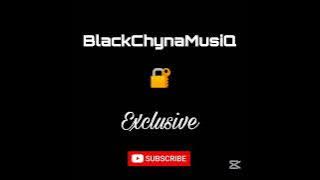 BlackChynaMusiQ - Mission Statement feat. Sgemme & Zoro101 (Original Mix) || Amapiano Mix