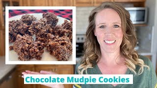 How to Make NO BAKE Chocolate Cookies Without Peanut Butter