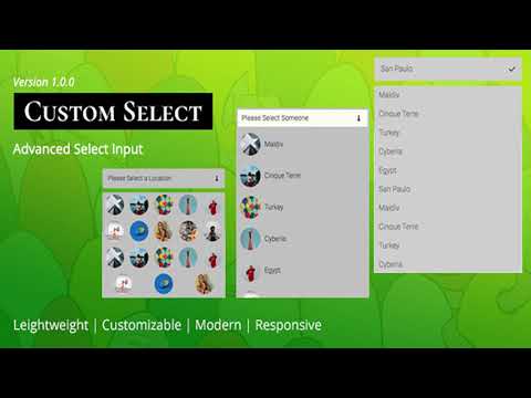 Custom Select | Advanced Select Inputs for Forms | Codecanyon Scripts and Snippets