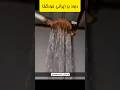 خود کفایی در ساخت دوش میم دوش خندارترین طنز 