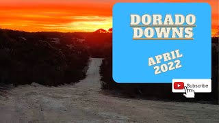 Dorado Downs April 2022 screenshot 4