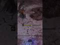 Birb is just built different #nightreign #gaming