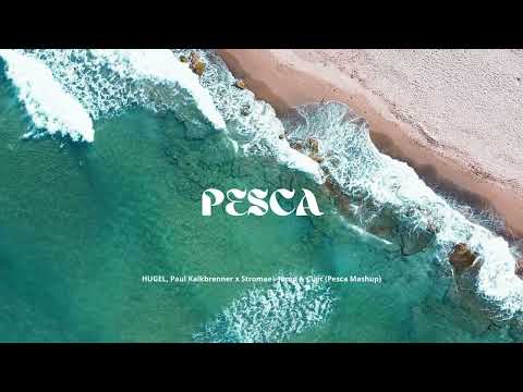 HUGEL, Paul Kalkbrenner x Stromae - Jump & Clair (Pesca Mashup)