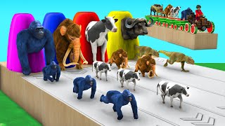 Animal Crossing Fountain Game Cow Mammoth Elephant Gorilla Dinosaur Buffalo Wild  Watermelon Train