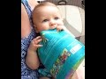 Indestructibles: Books babies can really sink their teeth into!