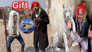 Zoo May Jadugar Baba A Gya🤔 Horror Fish Gift Day Gya😱@PetHouse786 