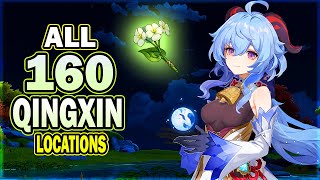 160 Qingxin Locations - Efficient Farming Route | Shenhe Ascension Material | Genshin Impact