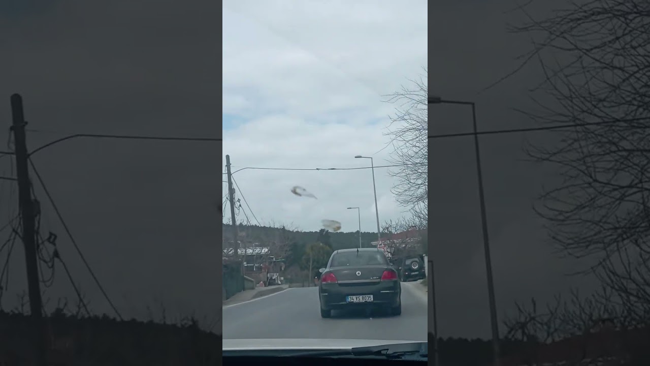 İstanbul'dan şileye gidiş