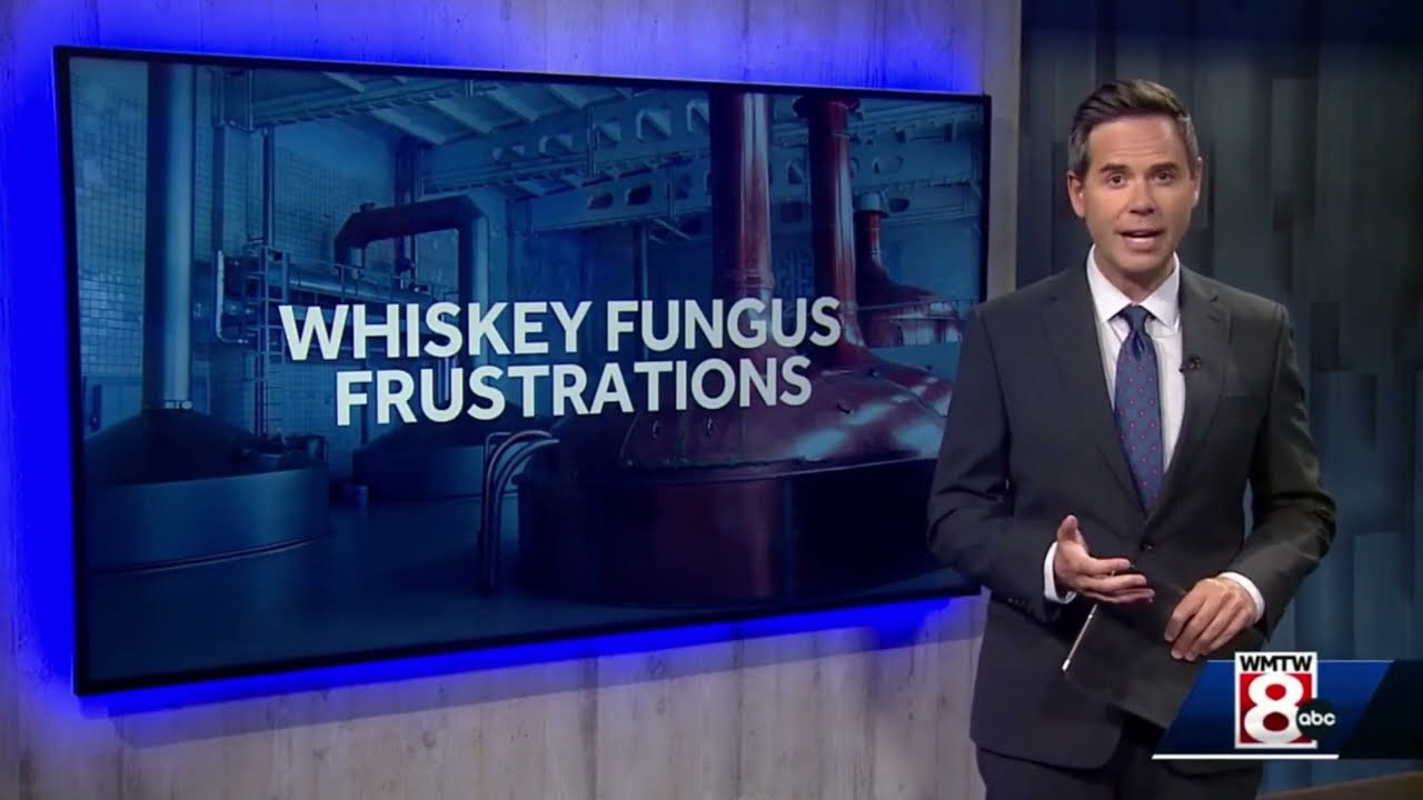 WMTW8 8/24/23 Report on York Maine Whiskey Fungus Concerns About Wiggly Bridge Distillery