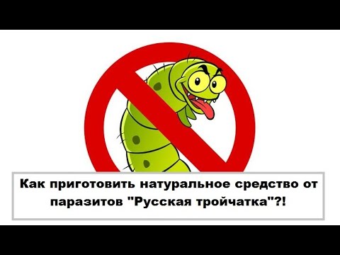 Русская тройчатка от паразитов - готовим уникальное натуральное ...