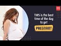 THIS is the best time of the day to get pregnant
