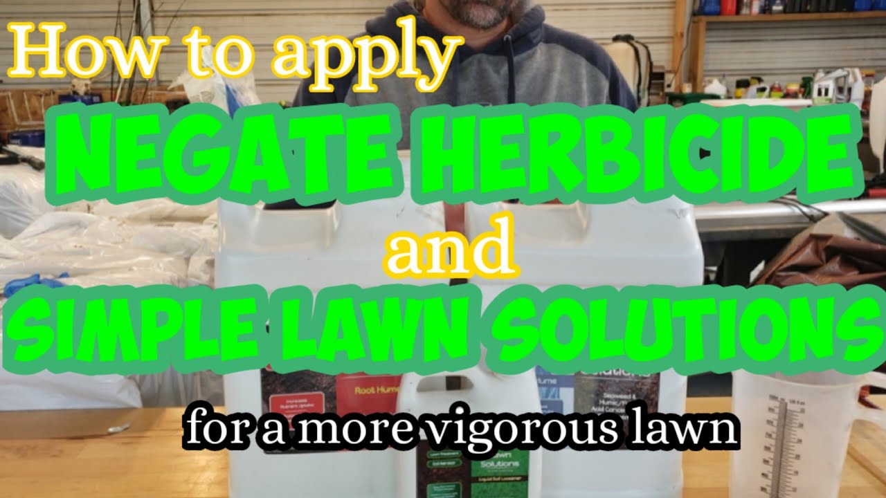 house plant insecticide Fungus Gnat Death Drops