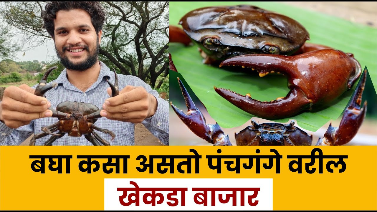 बघा कसा असतो कोल्हापुरातील 'खेकडा बाजार' | Crab Market | Kolhapuri Karbhar
