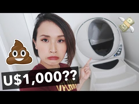 Video: Mèo chống lại ngôi nhà của bạn: Những nguy hiểm tiềm ẩn mà bạn có thể đã quên