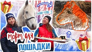 🐎DIY: ТОРТ ДЛЯ ЛОШАДИ на ДЕНЬ РОЖДЕНИЯ / рецепт #MTkonoBLOG 🐎DIY: ТОРТ ДЛЯ ЛОШАДИ на ДЕНЬ РОЖДЕНИЯ / рецепт #MTkonoBLOG