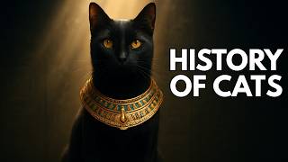The Entire History Of Cats 10,000 Bce To Today Before Cities