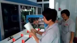 Fully Auto Brick Brick Shape Rice Vacuum Packing Machine Jialong