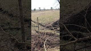 70 ACRE UMARIYA DIST - MUNGELI PLOT SUITABLE FOR SOLAR PLANT BEST DEAL CALL 99269-60060 80854-60060