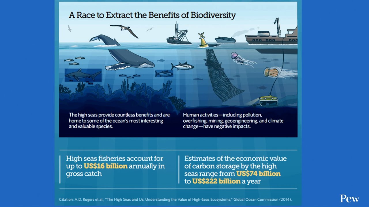 Biodiversity Beyond National Jurisdiction. What is It?