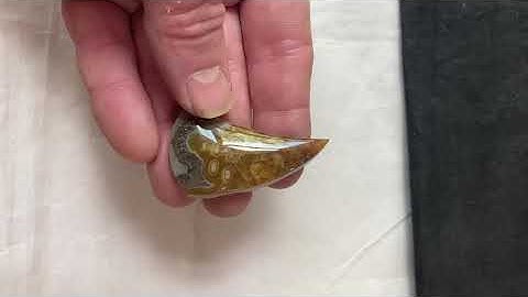 Turkish Pseudo Morph Agate Cabochon