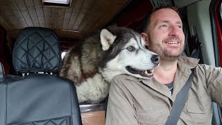Sherpa the Husky and Dad answer questions you all want to know!