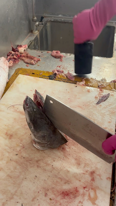 Rita fish cutting #shorts #shortsviral #youtubeshorts