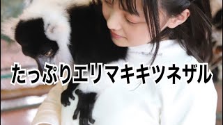 たっぷりエリマキキツネザル/那須ワールドモンキーパーク